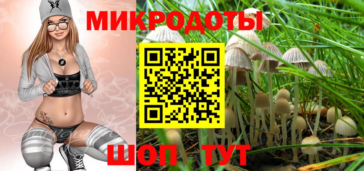 Псилоцибиновые грибы GOLDEN TEACHER Большой Камень