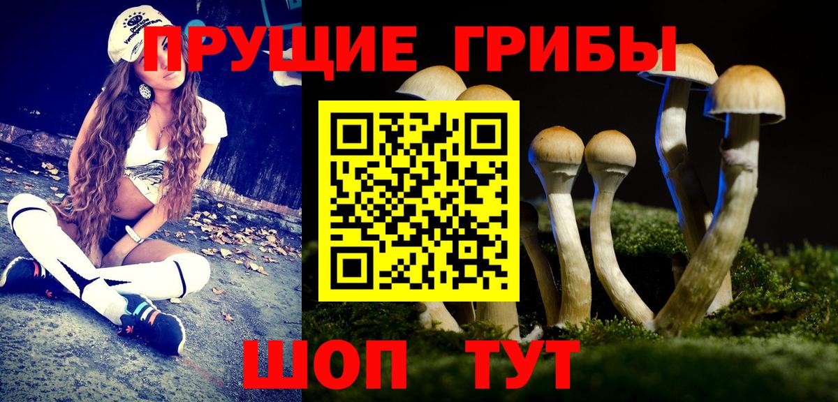 Псилоцибиновые грибы Cubensis  Вход с VPN  Большой Камень  Псилоцибиновые грибы MAGIC MUSHROOMS 